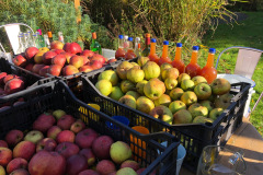 APPLE-TIME