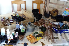 TABLE-1