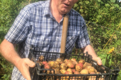 TONY-AND-POTATOES-1