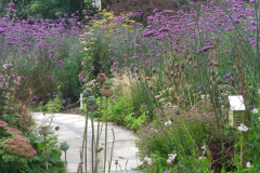 this-one-11.JPG-GARDEN